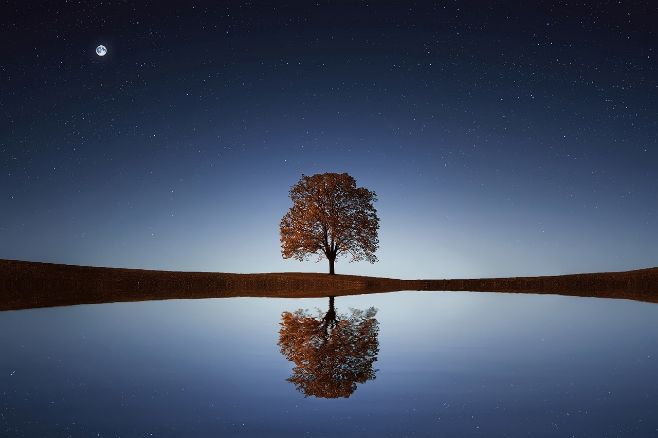 arbre-seul-nuit-reflet-eau2